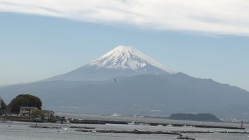 駿河湾越しに見る富士山