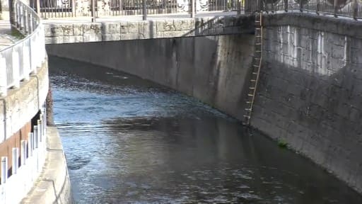 妙正寺川 新宿区中井