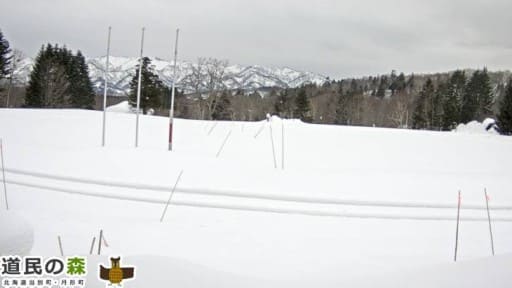 当別 セール 天気 カメラ