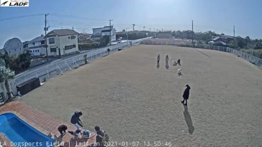 LA DOGSPORTS FIELD (ドッグラン)