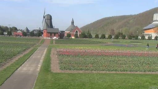 かみゆうべつチューリップ公園