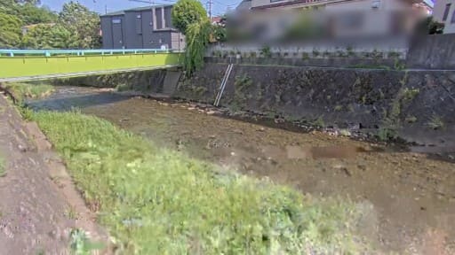 柳瀬川 東村山市秋津町