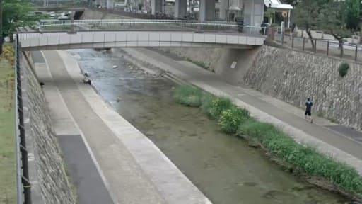 神戸 市 河川 トップ カメラ