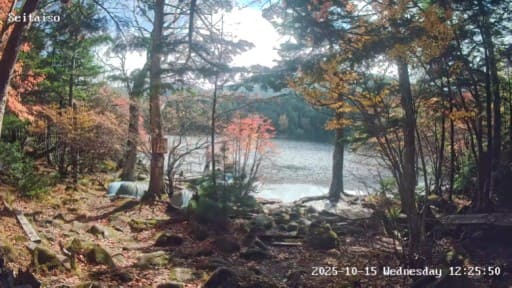 青苔荘からの白駒池