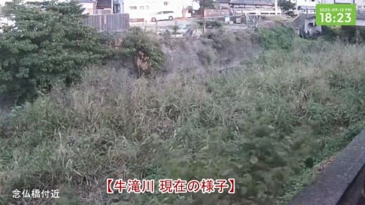 牛滝川 岸和田市念仏橋付近