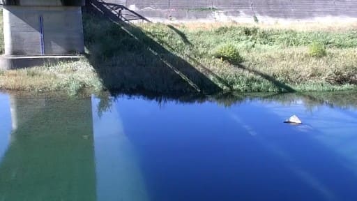 有田川 (有田川町金屋)