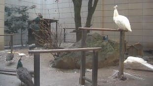 桑名市 ホテル多度温泉の中庭