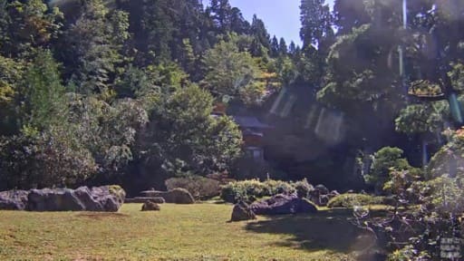 高野山西南院 庭園