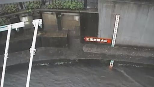 丸子川 滝ノ橋