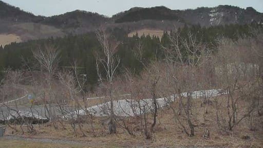 氷ノ山 響の森