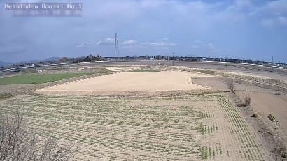 常総市根新田地区