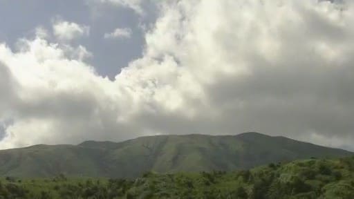 三宅島 坪田