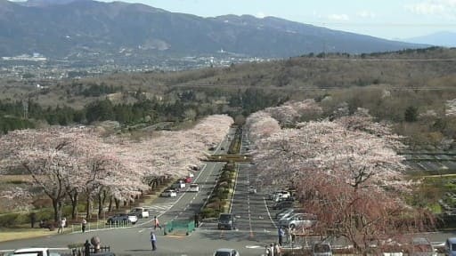 冨士霊園