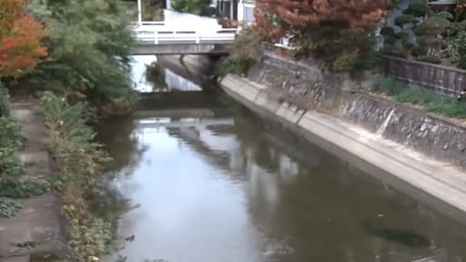 日方川 海南市海南橋水位観測所