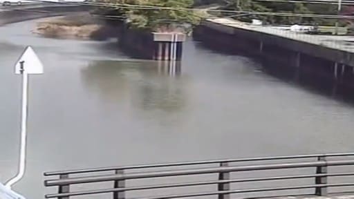 亀の川 和歌山市羽鳥橋水位観測所