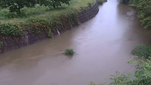 亀の川 海南市大師橋水位観測所