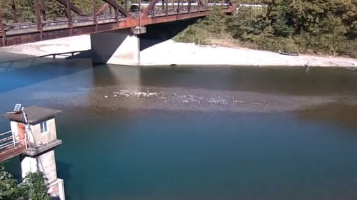 日置川 白浜町安居水位観測所