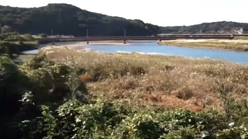 富田川 白浜町田津原水位観測所