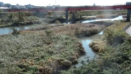 左会津川 田辺市高山寺水位観測所