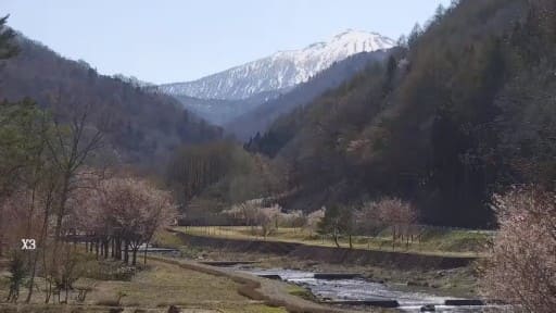 ミニ尾瀬公園