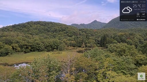 観音沼森林公園