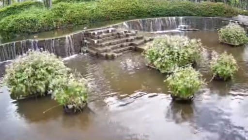 福岡県営東公園の池