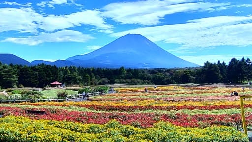 富士本栖湖リゾート 虹の花まつり