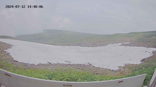 庄内 ストア 道路 カメラ