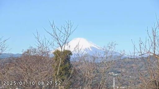 吾妻山から望む富士山