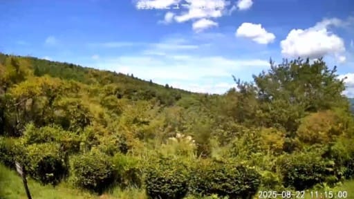 フォレストパーク神野山