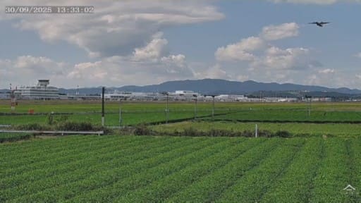 茶畑から見る鹿児島空港