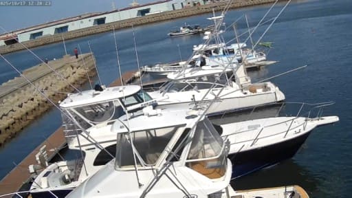 エクセロンマリン (マリーナ)