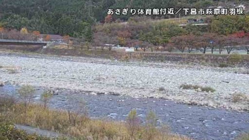飛騨川 あさぎり体育館付近