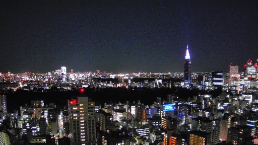 新宿区高層部からの眺望